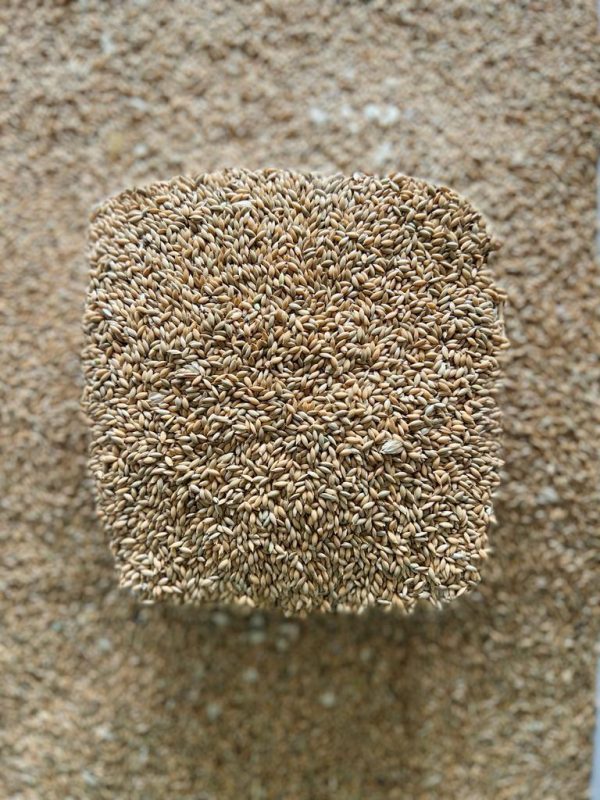 Alpiste simple, bulto c/25 kg - Animalia-Pro | Cuidado profesional para tu mascota – Envío gratis desde 40€