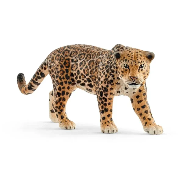 Jaguar - Todo en Uno: Accesorios, Electrónica y Belleza