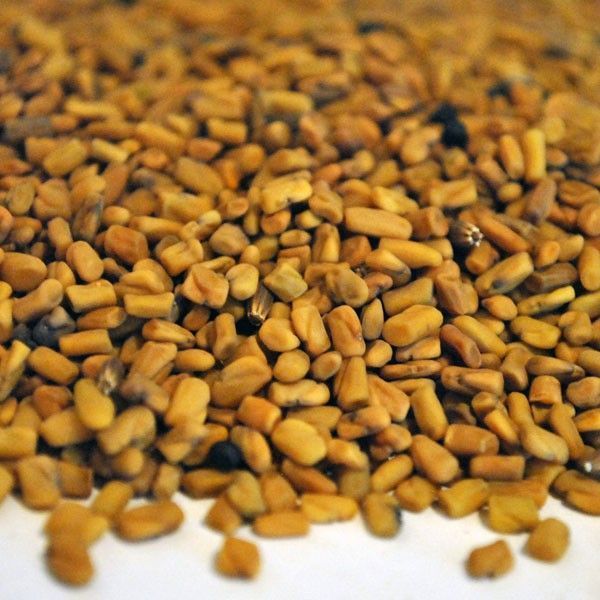 Alholva o Fenogreco, semilla (Trigonella foenum-graecum) - Promo Limitada Hoy – Ahorra Más con Envío Gratis desde 40€