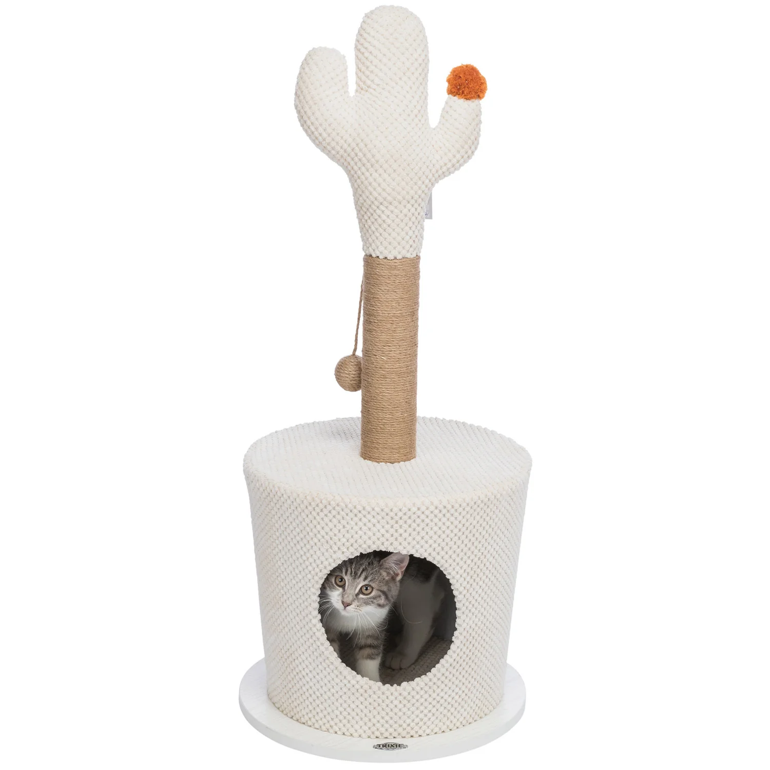 Cueva con cactus - Amigos Animal – Creando la mejor vida para tu mascota Cueva con cactus - Amigos Animal – Creando la mejor vida para tu mascota