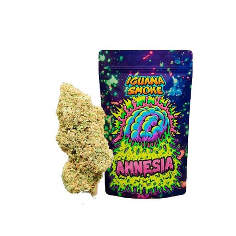 Amnesia CBD de Iguana Smoke 10g - Animalia-Pro | Cuidado profesional para tu mascota – Envío gratis desde 40€ Amnesia CBD de Iguana Smoke 10g - Animalia-Pro | Cuidado profesional para tu mascota – Envío gratis desde 40€
