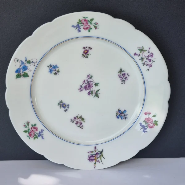 Gran juego de postre de porcelana de 50 piezas - Todo en Uno: Accesorios, Electrónica y Belleza
