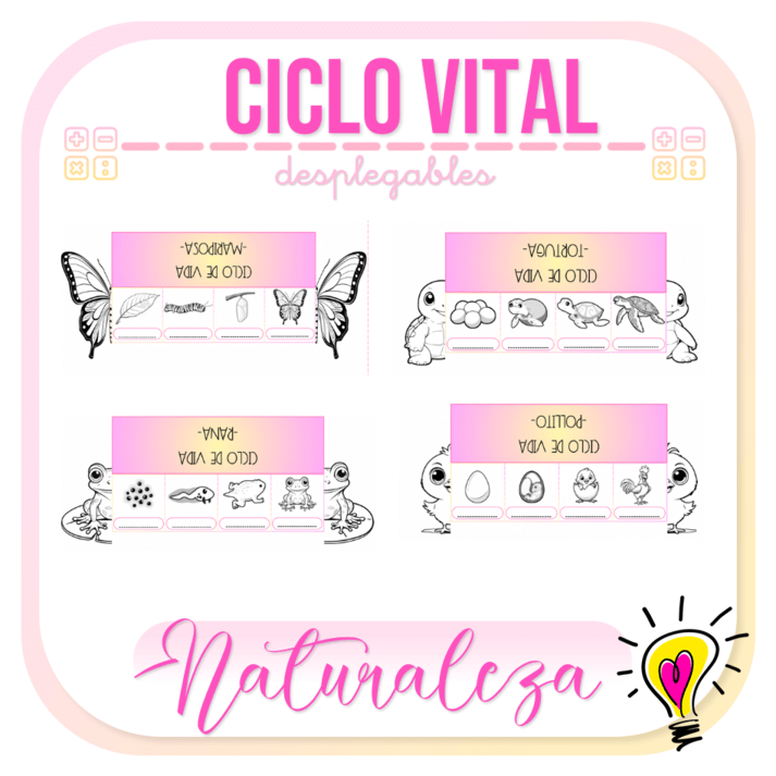 Ciclo Vital - Juegos y Juguetes para Despertar la Imaginación de los Pequeños Ciclo Vital - Juegos y Juguetes para Despertar la Imaginación de los Pequeños