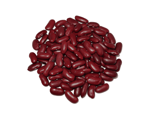 Alubia Morada Eco - Animalia-Pro | Cuidado profesional para tu mascota – Envío gratis desde 40€