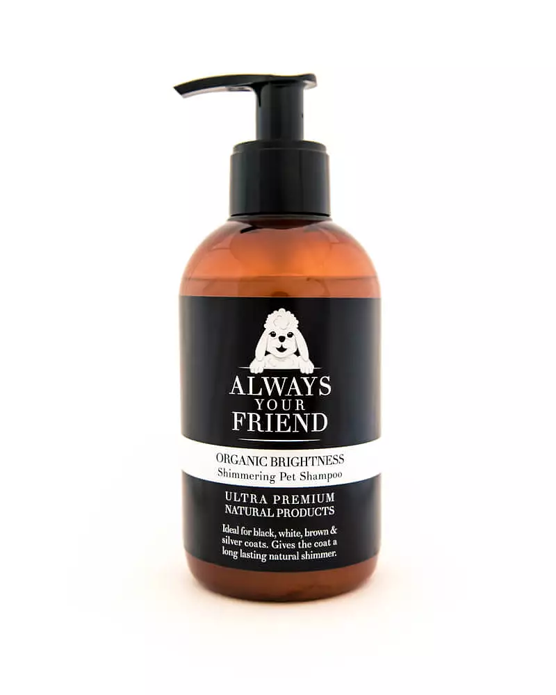 Always Your Friend Champú Orgánico Brillo - Animalia-Pro | Cuidado profesional para tu mascota – Envío gratis desde 40€ Always Your Friend Champú Orgánico Brillo - Animalia-Pro | Cuidado profesional para tu mascota – Envío gratis desde 40€