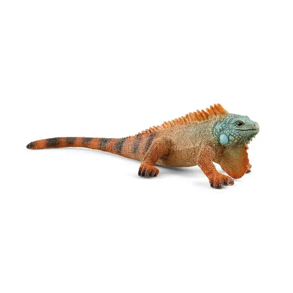 Iguana - Todo en Uno: Accesorios, Electrónica y Belleza