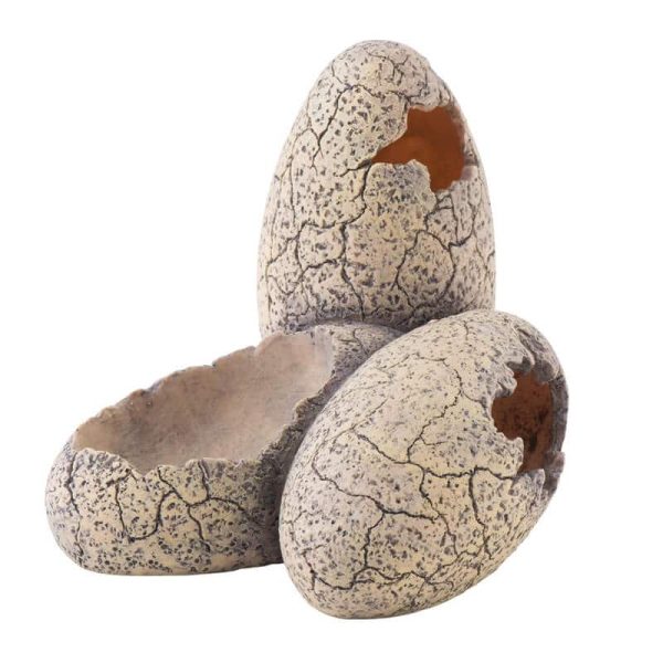 Exo Terra Huevo Dinosaurio - Tu Mundo Pet – Descuentos en Juguetes, Camas y Accesorios