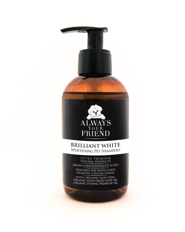 Always Your Friend Champú Blanqueante - Animalia-Pro | Cuidado profesional para tu mascota – Envío gratis desde 40€