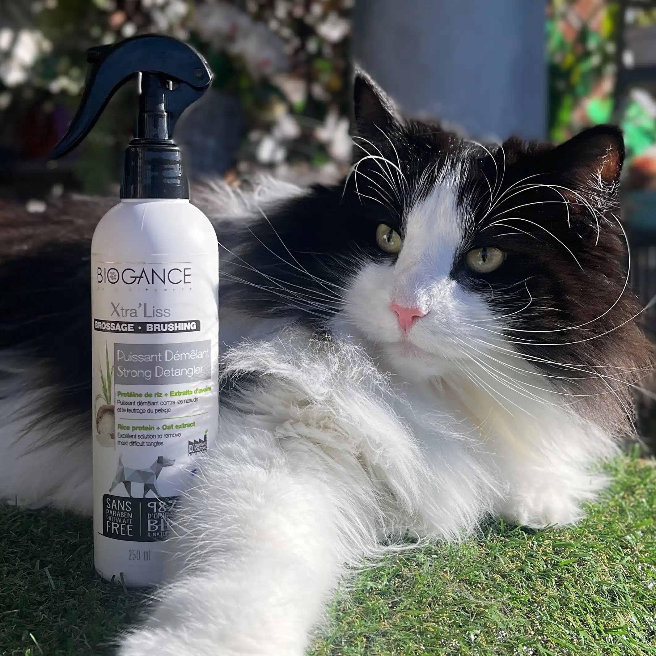 Spray Desenredante para perros y gatos | Xtra’ Liss Biogance - Productos Alimentarios Cuidadosamente Elegidos – Envío Gratuito 35€+ Spray Desenredante para perros y gatos | Xtra’ Liss Biogance - Productos Alimentarios Cuidadosamente Elegidos – Envío Gratuito 35€+