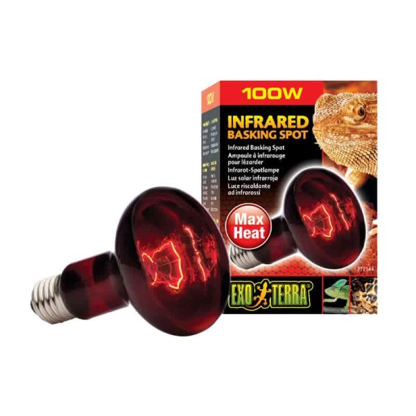 Exo Terra Heat Glo Infrarroja 100W - Tu Mundo Pet – Descuentos en Juguetes, Camas y Accesorios