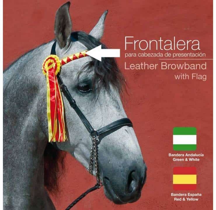 FRONTALERA PARA CABEZADA PRESENTACIÓN - Deporte y Outdoor al Mejor Precio del Mercado FRONTALERA PARA CABEZADA PRESENTACIÓN - Deporte y Outdoor al Mejor Precio del Mercado