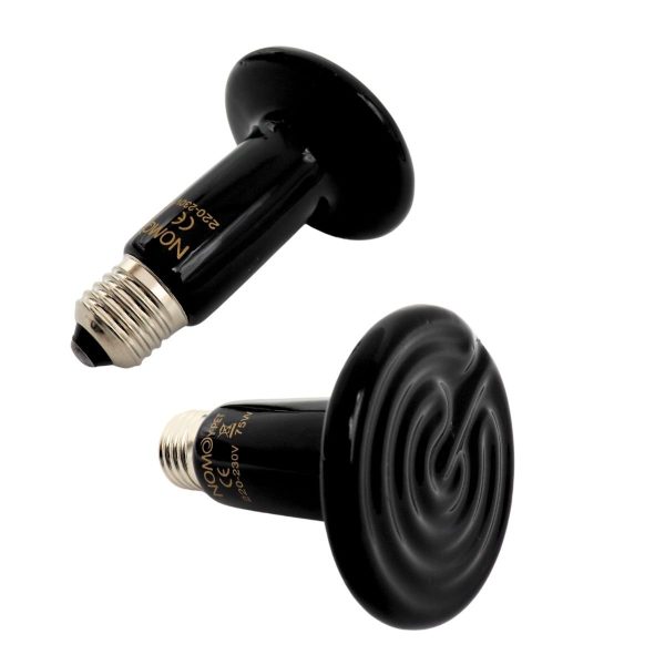Ampolleta de Cerámica 50W | Calor Suave para Terrarios Pequeños - Animalia-Pro | Cuidado profesional para tu mascota – Envío gratis desde 40€