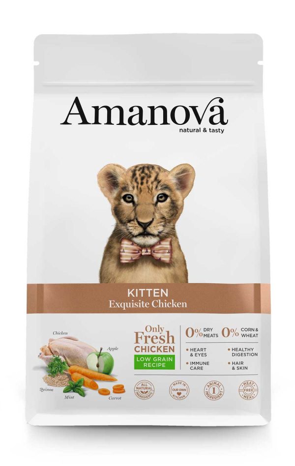 KITTEN Exquisite Chicken - Amigos Animal – Creando la mejor vida para tu mascota
