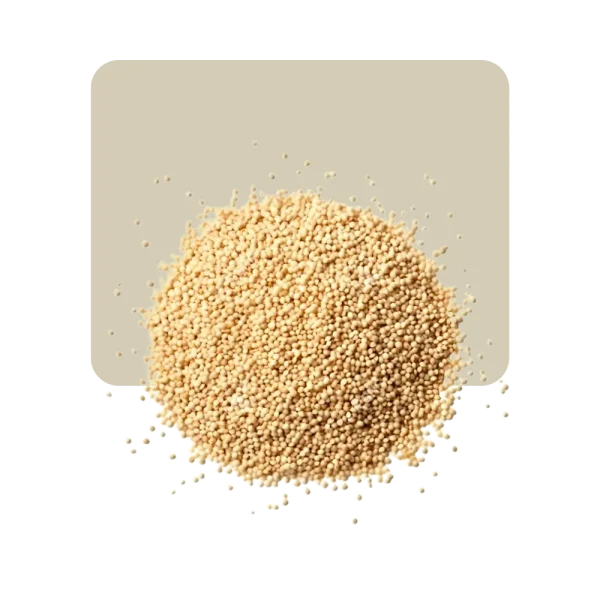 Amaranto 100gr - Animalia-Pro | Cuidado profesional para tu mascota – Envío gratis desde 40€