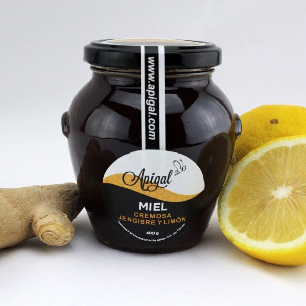 APIGAL MIEL CON GENGIBRE y LIMON - Gran selección de alimentos en oferta – Envío gratis en pedidos superiores a 35€