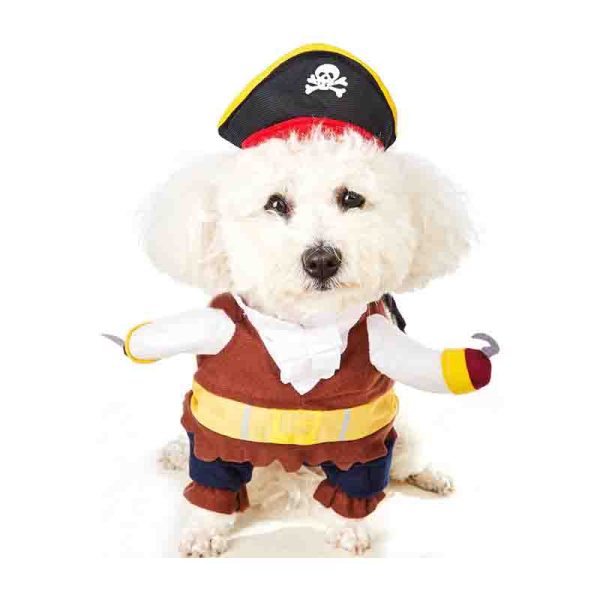 Disfraz Perro, disfraz gato Pirata - Tu Mundo Pet – Descuentos en Juguetes, Camas y Accesorios