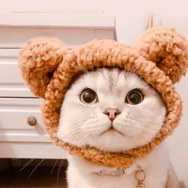 Disfraces para perros pequeños - Tu Mundo Pet – Descuentos en Juguetes, Camas y Accesorios
