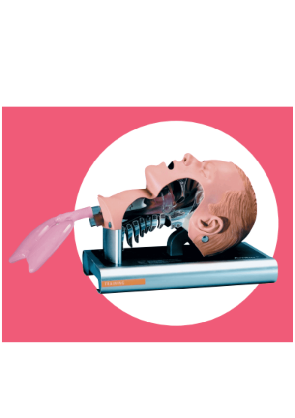 AMBU Airway Management Trainer: cabeza de intubación con bolsa de transporte - Animalia-Pro | Cuidado profesional para tu mascota – Envío gratis desde 40€