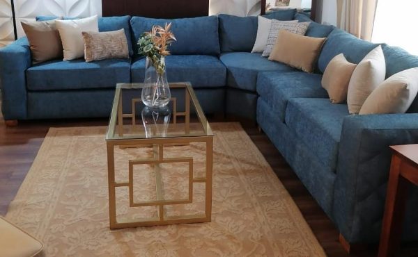 Amueblado de sala - Animalia-Pro | Cuidado profesional para tu mascota – Envío gratis desde 40€