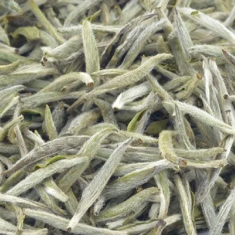 Té Blanco Silver needle - Productos Alimentarios Cuidadosamente Elegidos – Envío Gratuito 35€+