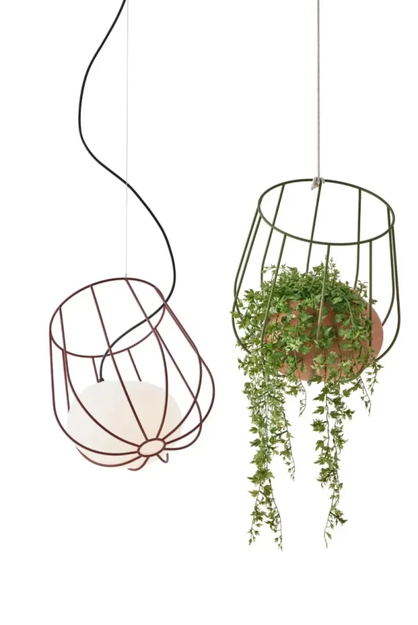 LIGHT PLANT LIGHT MASSMI Lampara colgante - Ideas de Regalos Sostenibles: Juguetes de Madera y Bazar Ecológico