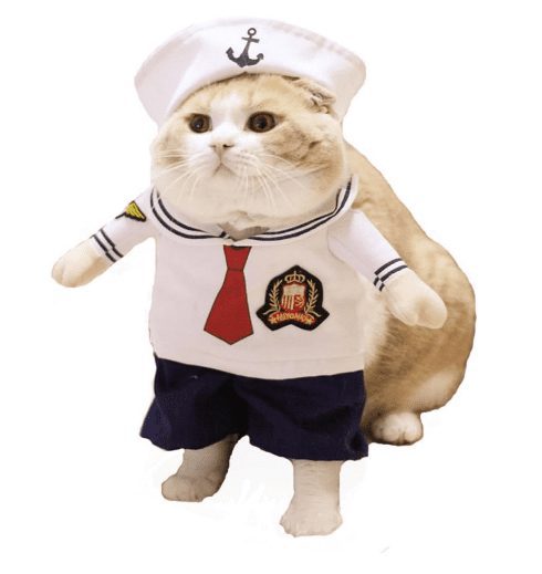 Disfraz para Perro, disfraz Para gato Marinero - Tu Mundo Pet – Descuentos en Juguetes, Camas y Accesorios
