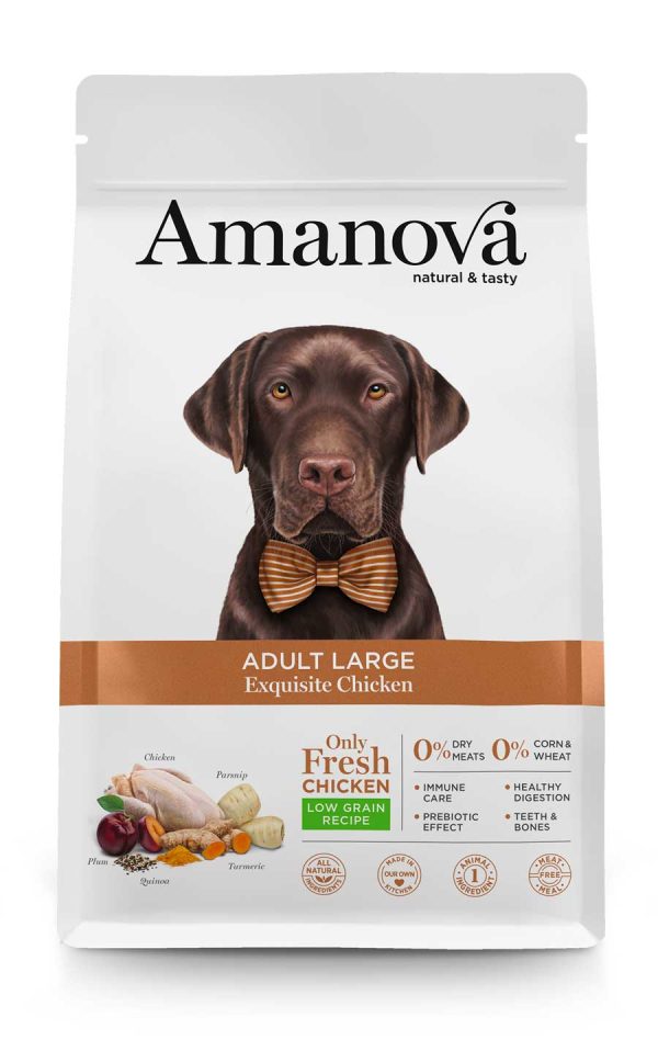 ADULT LARGE Exquisite Chicken - Amigos Animal – Creando la mejor vida para tu mascota