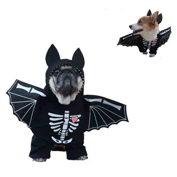 Disfraz para perros Murciélago Halloween - Tu Mundo Pet – Descuentos en Juguetes, Camas y Accesorios