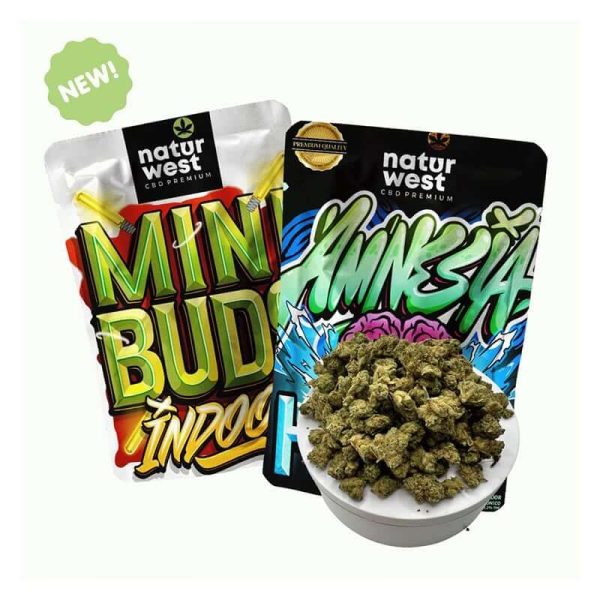 Amnesia Hy Pro Mini Buds Indoor Naturwest 20g - Animalia-Pro | Cuidado profesional para tu mascota – Envío gratis desde 40€