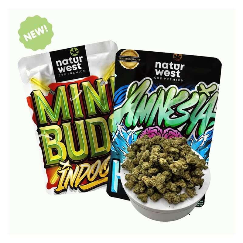 Amnesia Hy Pro Mini Buds Indoor Naturwest 20g - Animalia-Pro | Cuidado profesional para tu mascota – Envío gratis desde 40€ Amnesia Hy Pro Mini Buds Indoor Naturwest 20g - Animalia-Pro | Cuidado profesional para tu mascota – Envío gratis desde 40€