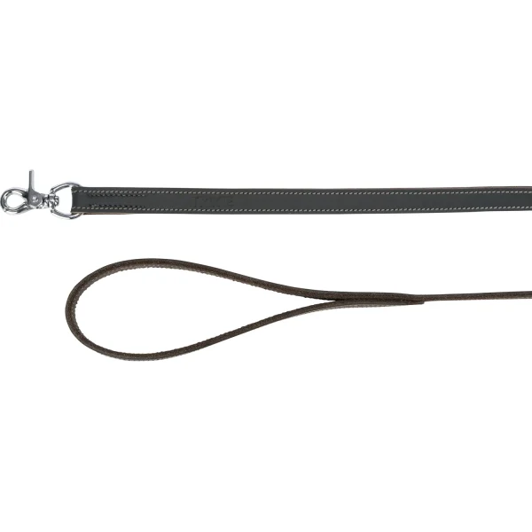 Correa de Cuero Engrasado para Perros Rustic - Amigos Animal – Creando la mejor vida para tu mascota