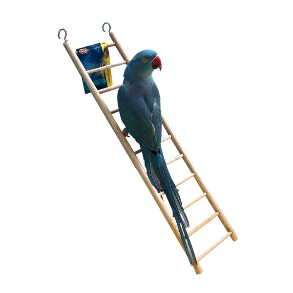 Escalera de madera 38cm – Living World - Tu Mundo Pet – Descuentos en Juguetes, Camas y Accesorios