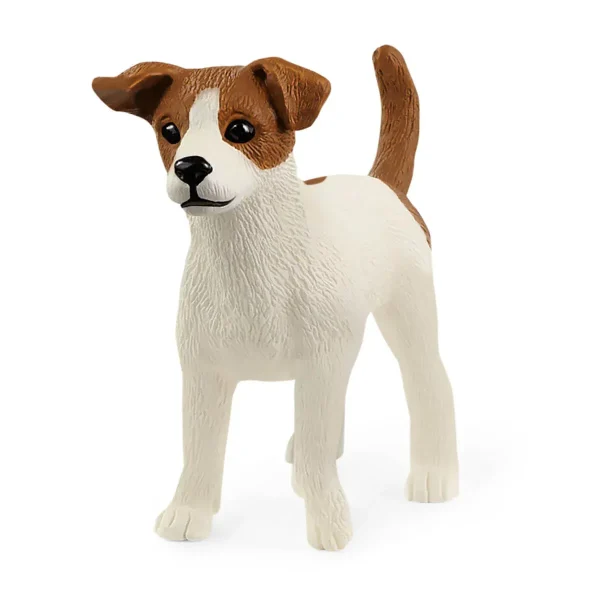 Jack Russell Terrier - Todo en Uno: Accesorios, Electrónica y Belleza