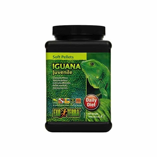 Exo Terra Iguana Juvenil – 240g - Tu Mundo Pet – Descuentos en Juguetes, Camas y Accesorios