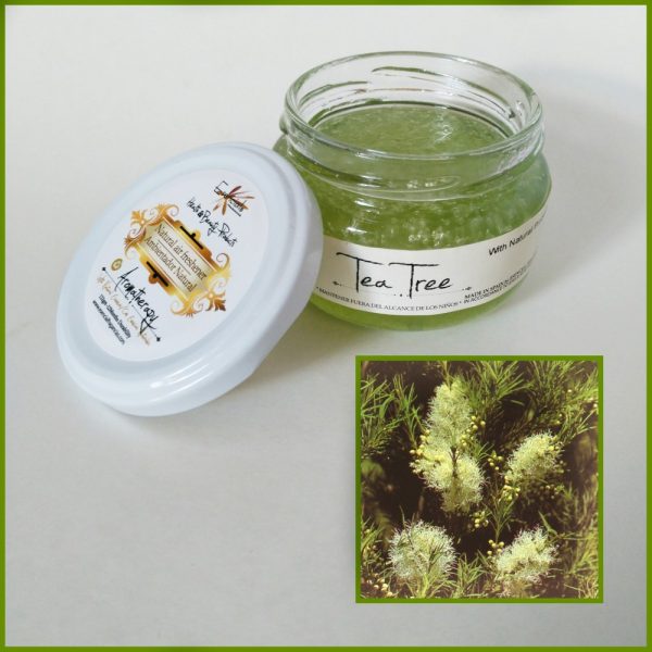 Árbol de Té 110 grs - Top Alimentos en Oferta – Envío Gratis por Tiempo Reducido