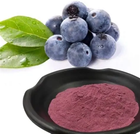Arandanos en polvo 100% fruta 100grs - Gran selección de alimentos en oferta – Envío gratis en pedidos superiores a 35€
