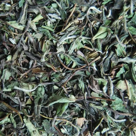 Té Blanco Pai Mu Tan (BIO) - Productos Alimentarios Cuidadosamente Elegidos – Envío Gratuito 35€+
