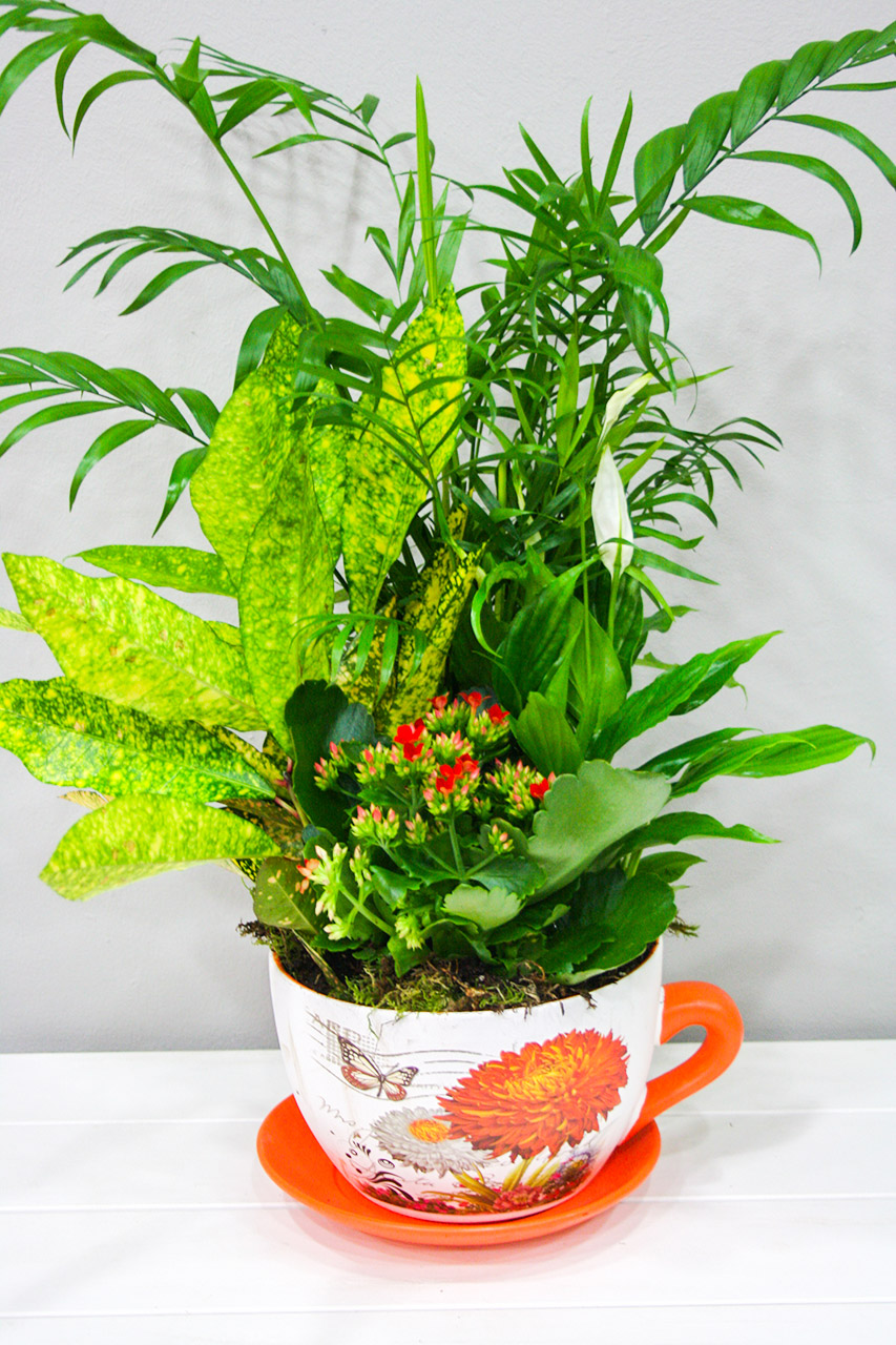 Taza Pequeña – Composición en cerámica - Productos Alimentarios Cuidadosamente Elegidos – Envío Gratuito 35€+ Taza Pequeña – Composición en cerámica - Productos Alimentarios Cuidadosamente Elegidos – Envío Gratuito 35€+