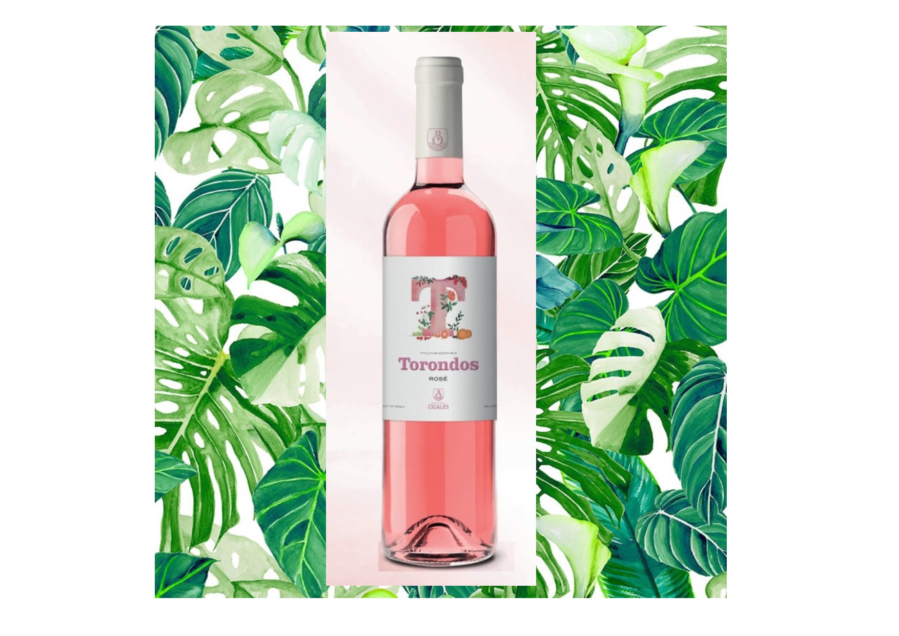 Torondos Rosado Pálido Cigales | Caja 12 unidades - Productos Alimentarios Cuidadosamente Elegidos – Envío Gratuito 35€+ Torondos Rosado Pálido Cigales | Caja 12 unidades - Productos Alimentarios Cuidadosamente Elegidos – Envío Gratuito 35€+
